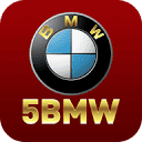 55BMW logo