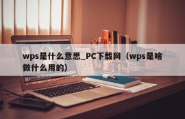 What does wps mean? PC Download Network (What is wps and what is it used for)