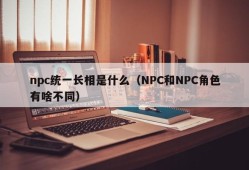 What do NPCs look like?(What is the difference between NPC and NPC characters)
