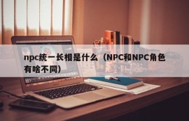 What do NPCs look like?(What is the difference between NPC and NPC characters)
