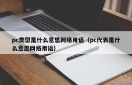 What does pc type mean? Internet term?(What does pc stand for? Internet term?)