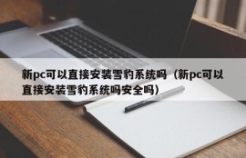 Can the Snow Leopard system be installed directly on a new PC (Can the Snow Leopard system be installed directly on a new PC is it safe?)