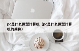 What microcomputer is pc (short for what microcomputer is pc)