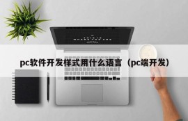 What language is used in pc software development style (pc development)