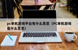What does PC stand-alone game platform mean (what does PC stand-alone game mean)
